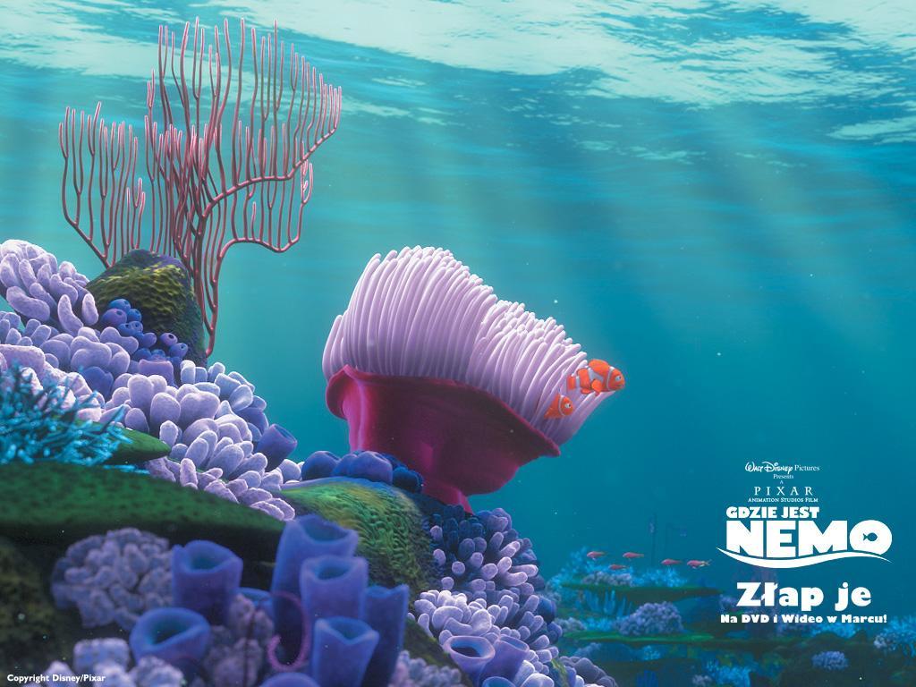 1024x768 Finding Nemo Wallpaper 20 X 768