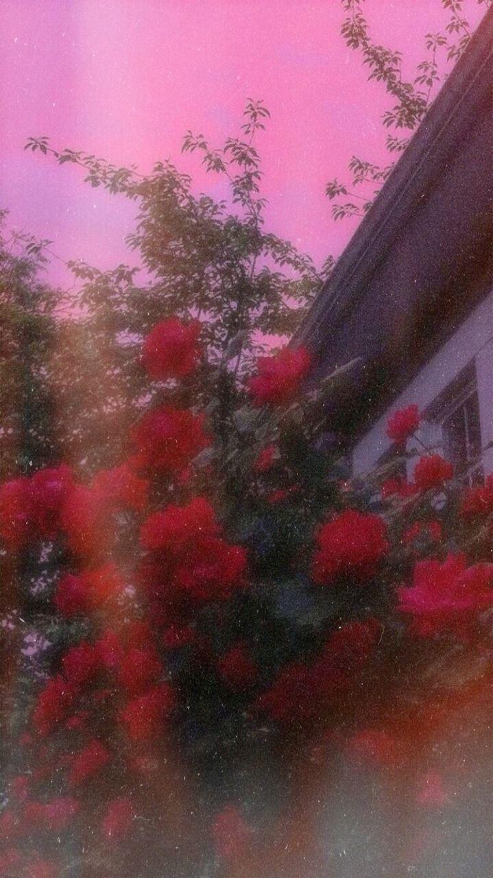 719x1280 Wallpaper#wallpaper# Lockscreens#iphone Wallpaper