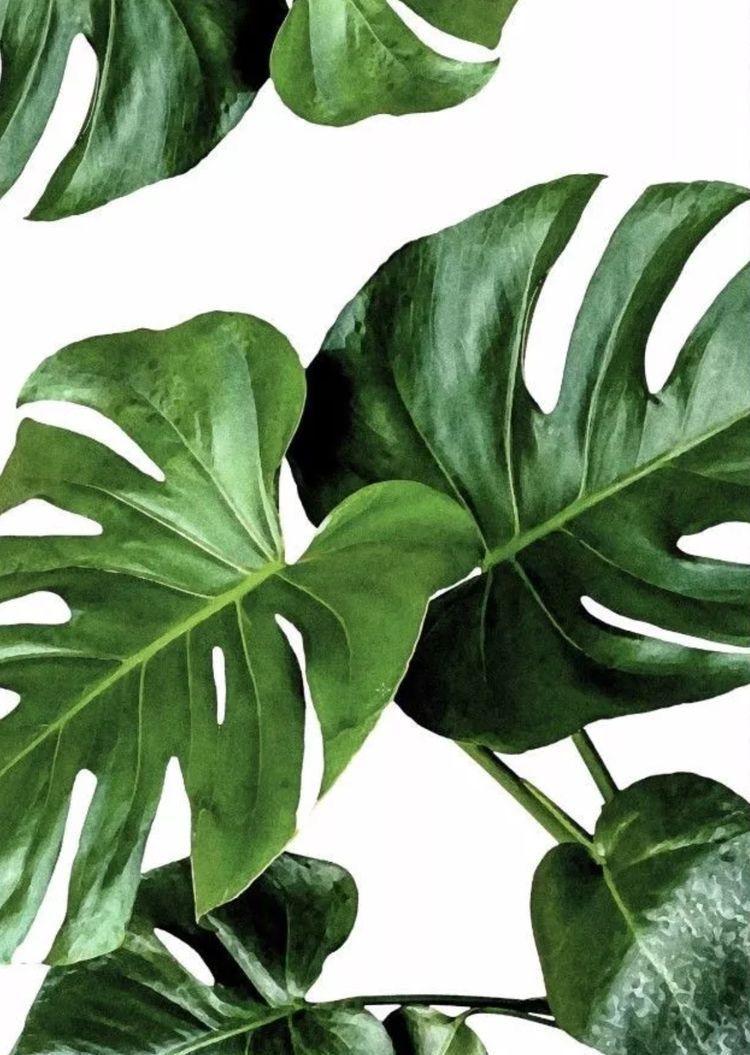 750x1055 Mink me. Watercolor plants