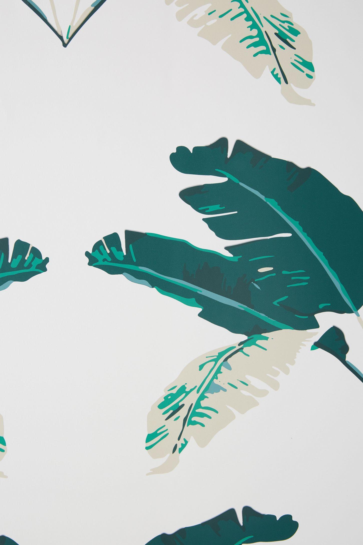1450x2175 Palm Leaf Wallpaper