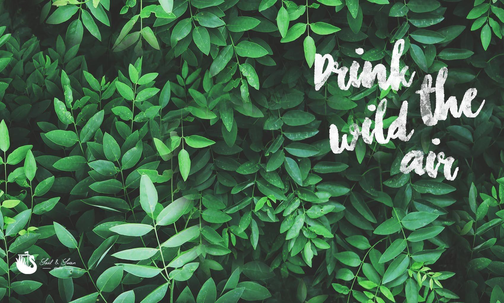 1700x1024 Tropical Leaves Desktop Wallpaper at