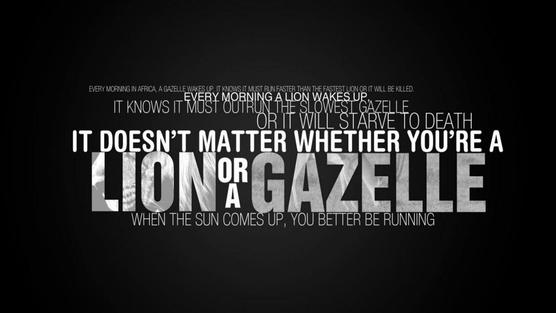 1920x1080 Weightlifting Wallpaper 8 X 1164
