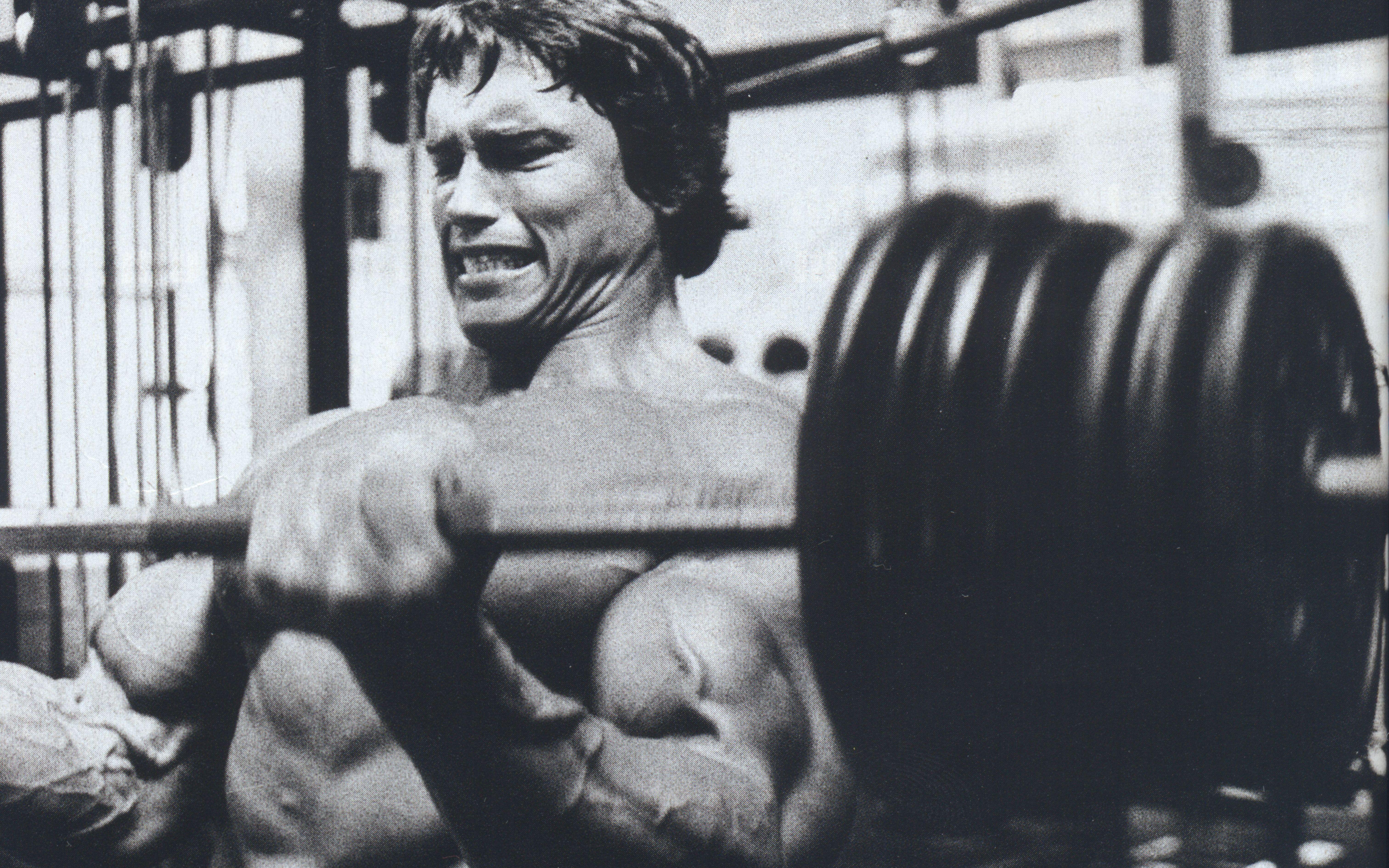 6049x3780 Arnold Schwarzenegger, muscles, training wallpaper