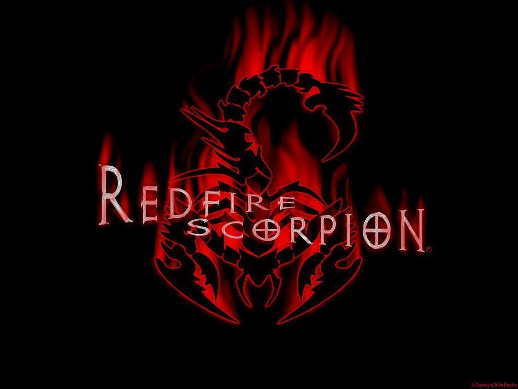 1024x768 Scorpion Wallpaper
