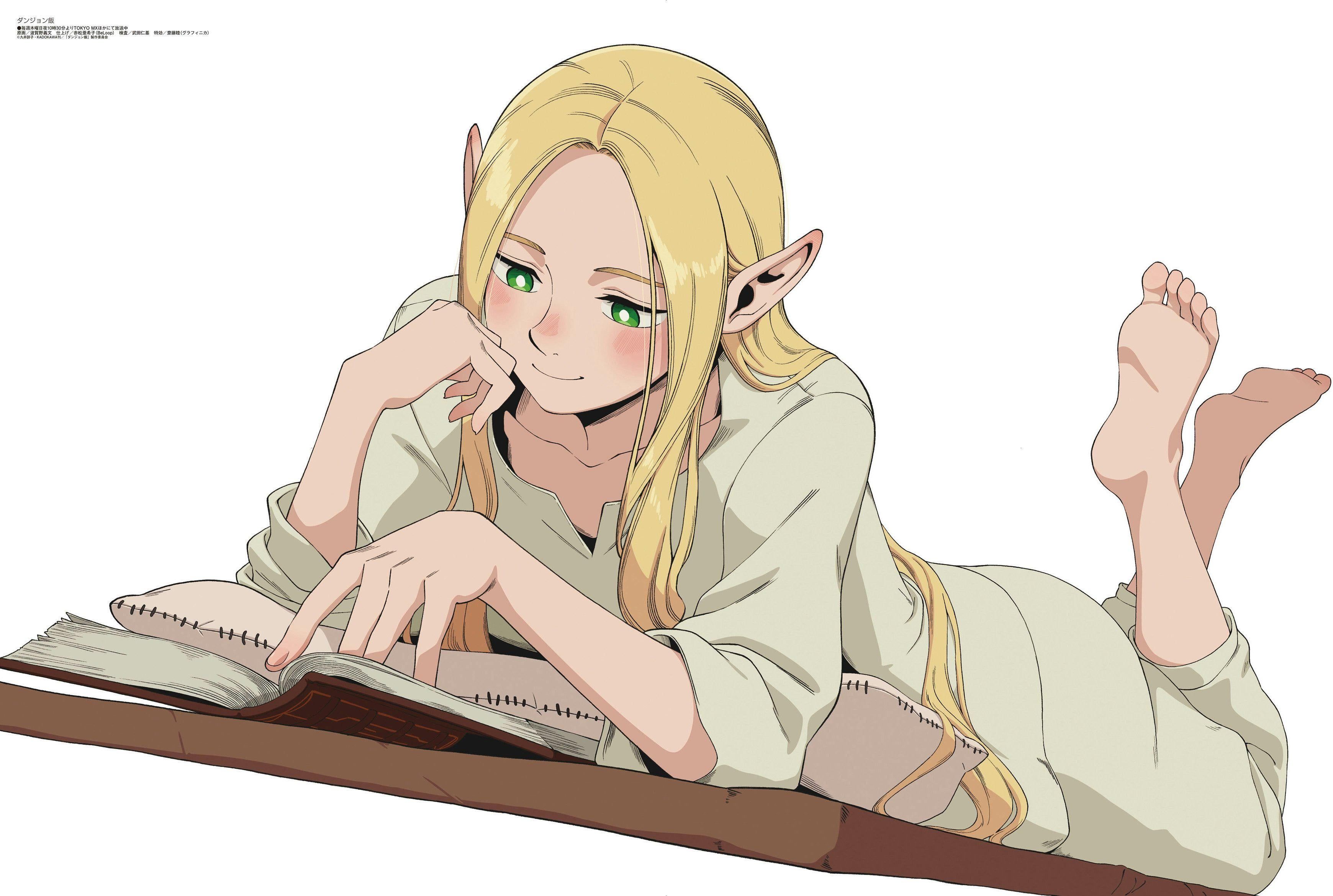 Delicious In Dungeon Wallpapers Top Free Delicious In Dungeon delicious-in-dungeon-wallpapers-top-free-delicious-in-dungeon
