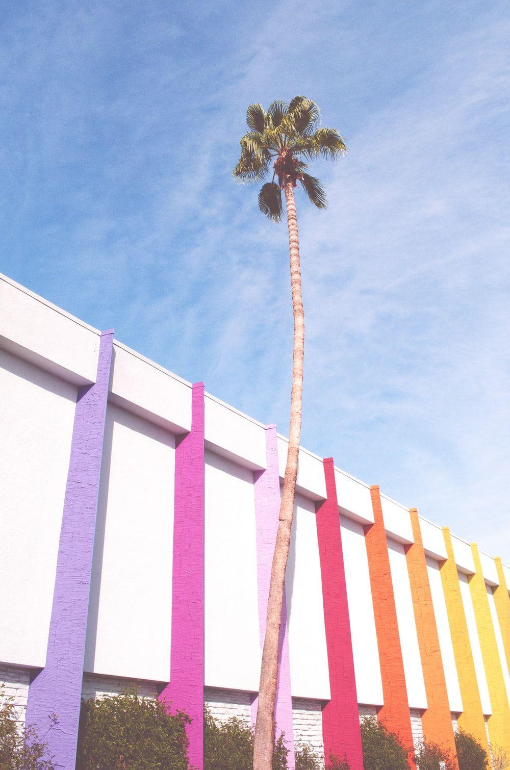 1000x1510 The Saguaro Palm Springs Picture. Download Free Image