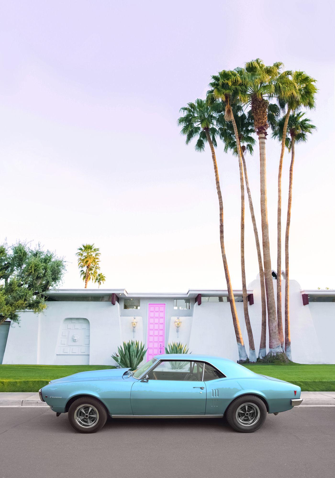 1400x2000 Palm Springs Pink Door