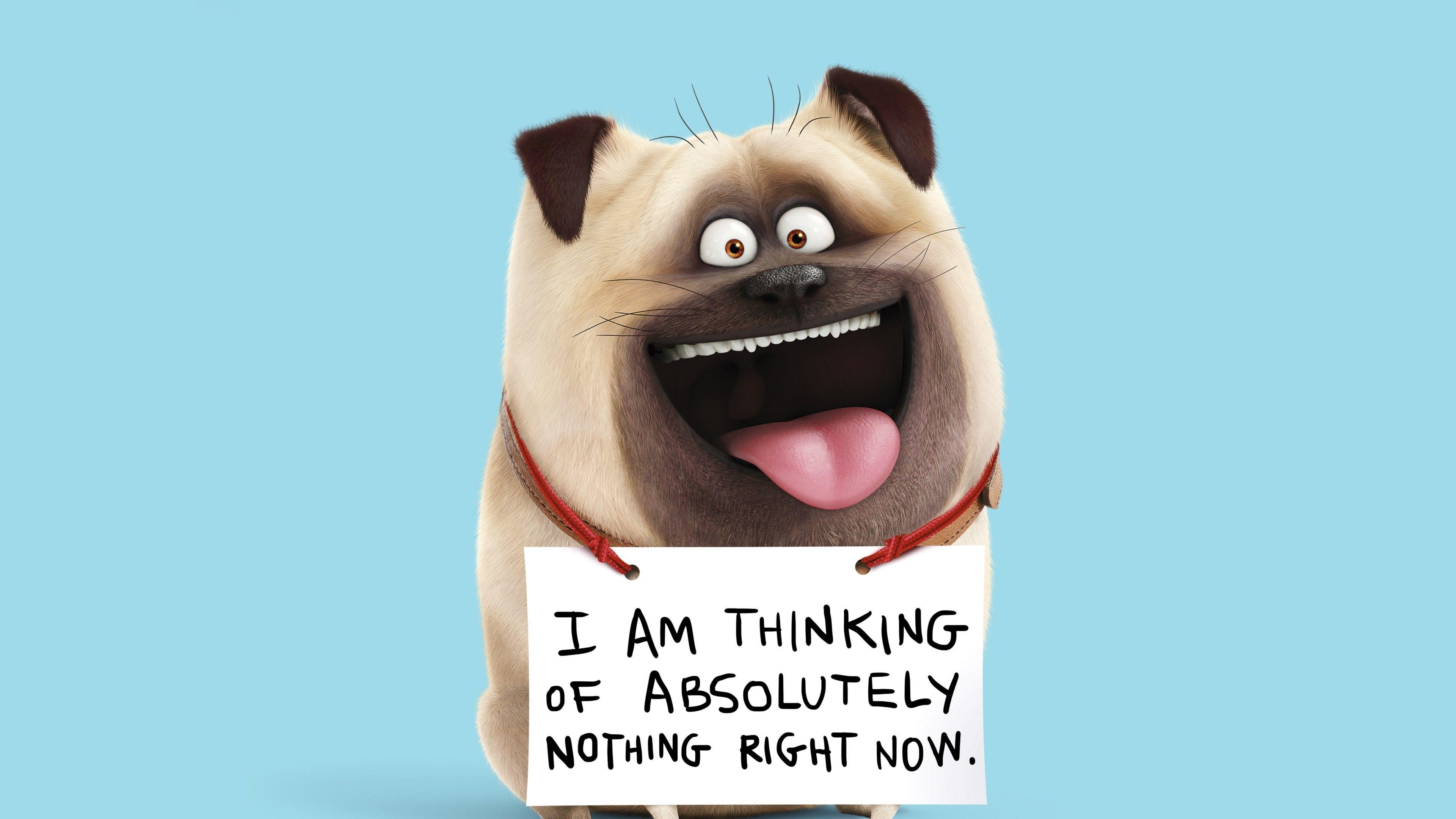 3840x2160 Wallpaper The Secret Life of Pets, mel, Best Animation