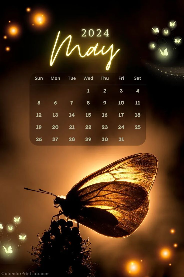 736x1104 May 2024 Calendar iPhone Wallpaper