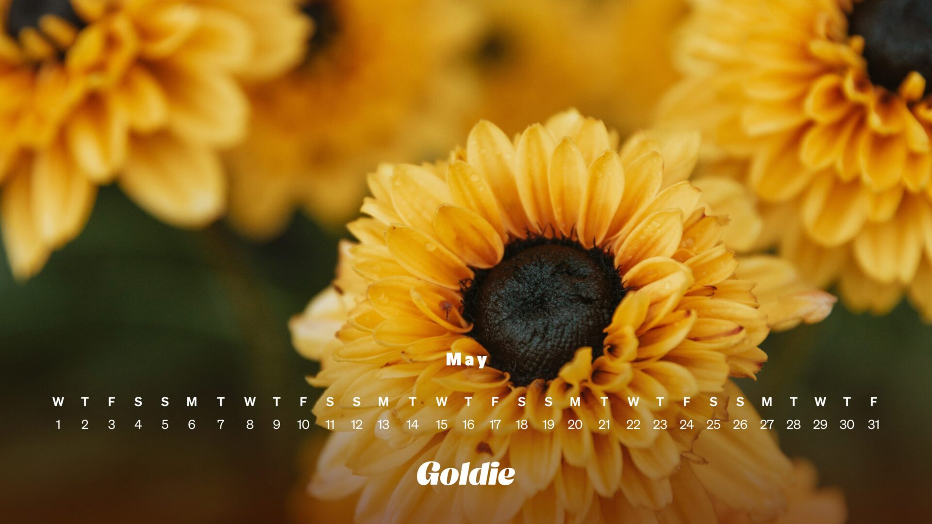 May 2024 Calendar Wallpapers - Top Free May 2024 Calendar Backgrounds ...