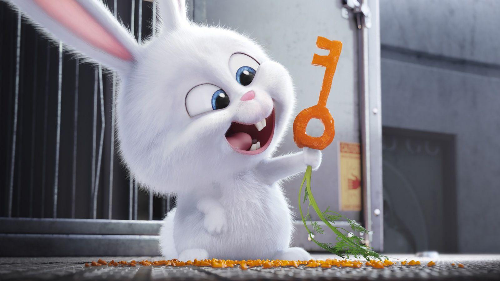 1600x900 Snowball The Secret Life of Pets Wallpaper in jpg format