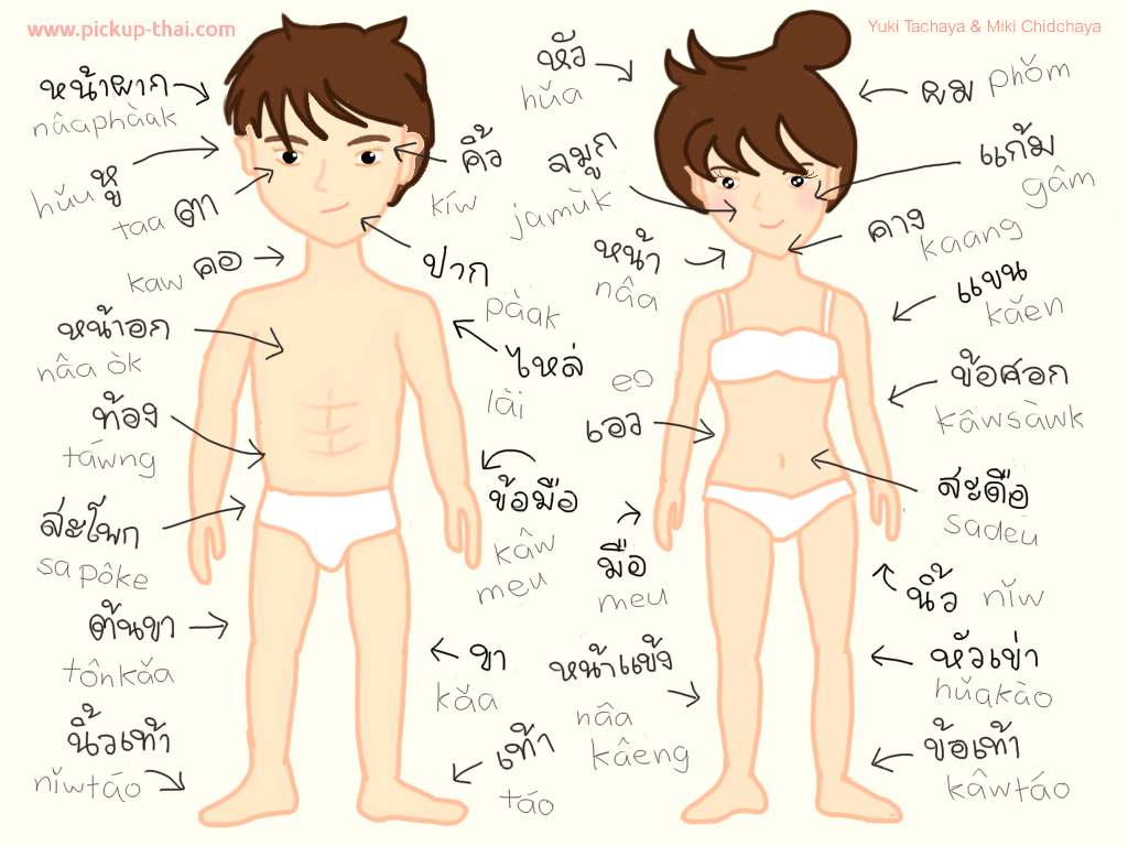 1024x768 Wallpaper 3: Body Parts