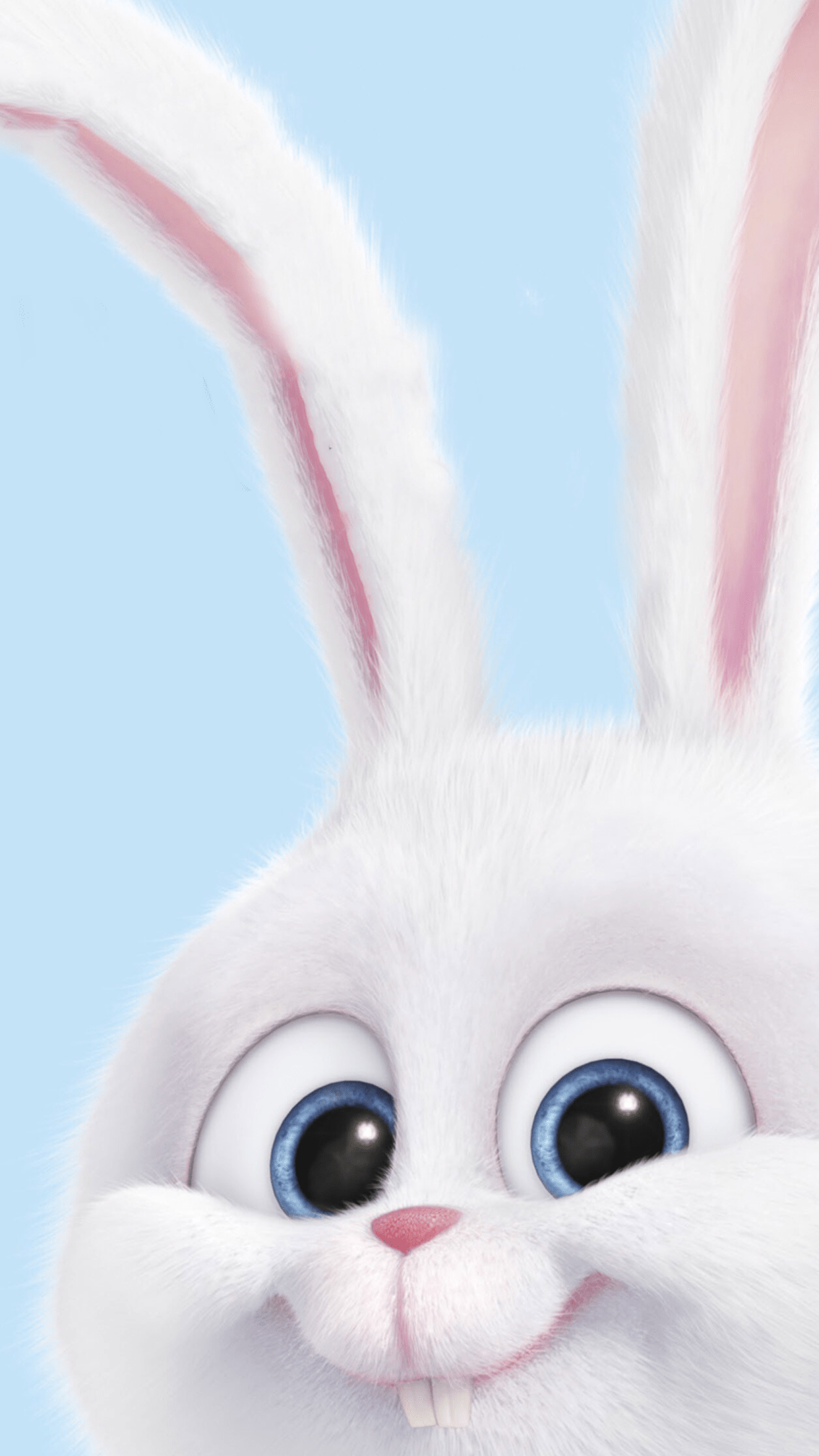 1242x2208 Funny wallpaper. Background iphone. Rabbit