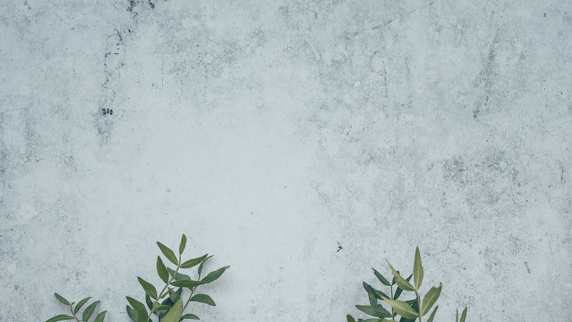 1920x1080 Wall Leaves Virtual Background