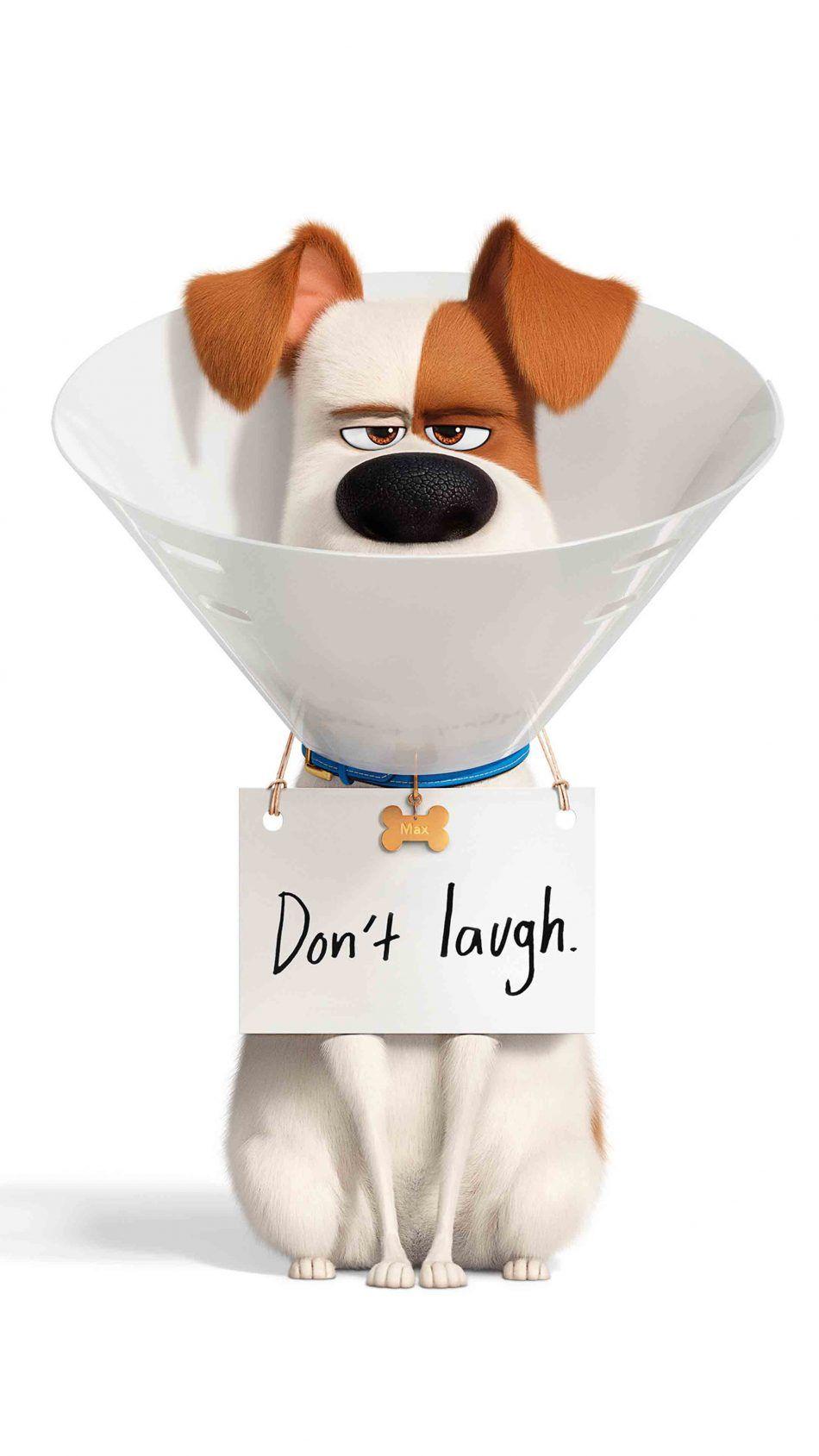 950x1689 Download Max In The Secret Life of Pets 2 Free Pure 4K Ultra