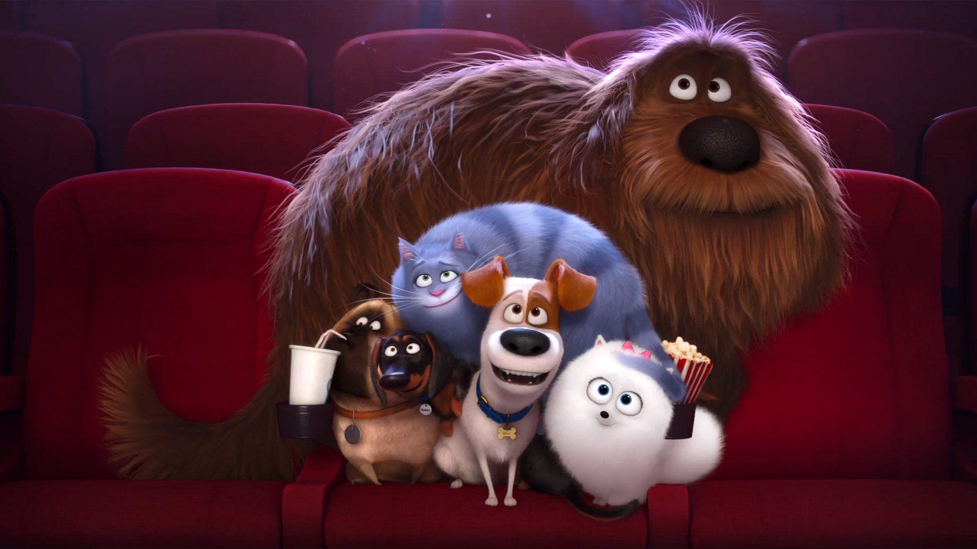 1920x1080 The Secret Life of Pets HD Wallpaper