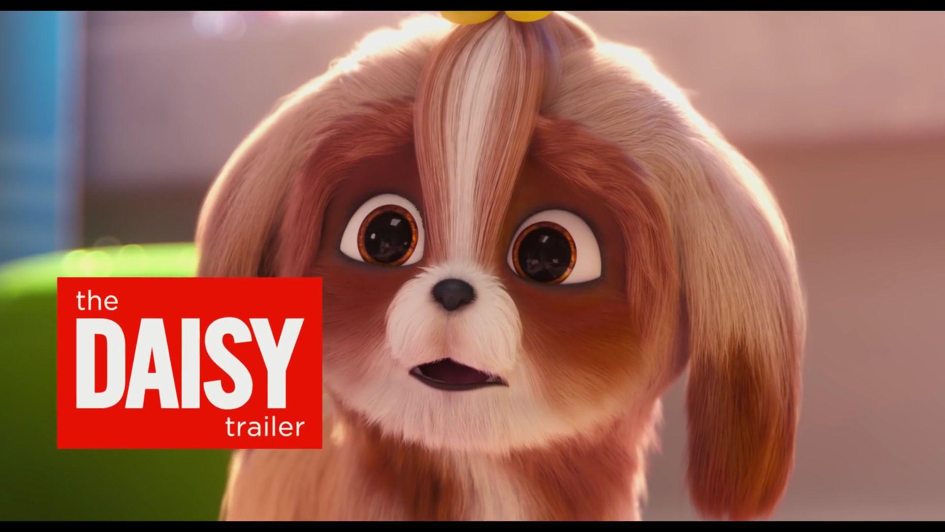 1920x1080 The Secret Life Of Pets Wallpaper 1920x1080