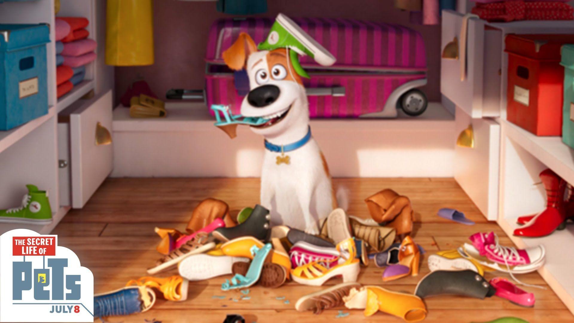 1920x1080 The Secret Life Of Pets Wallpaper TRAILERS