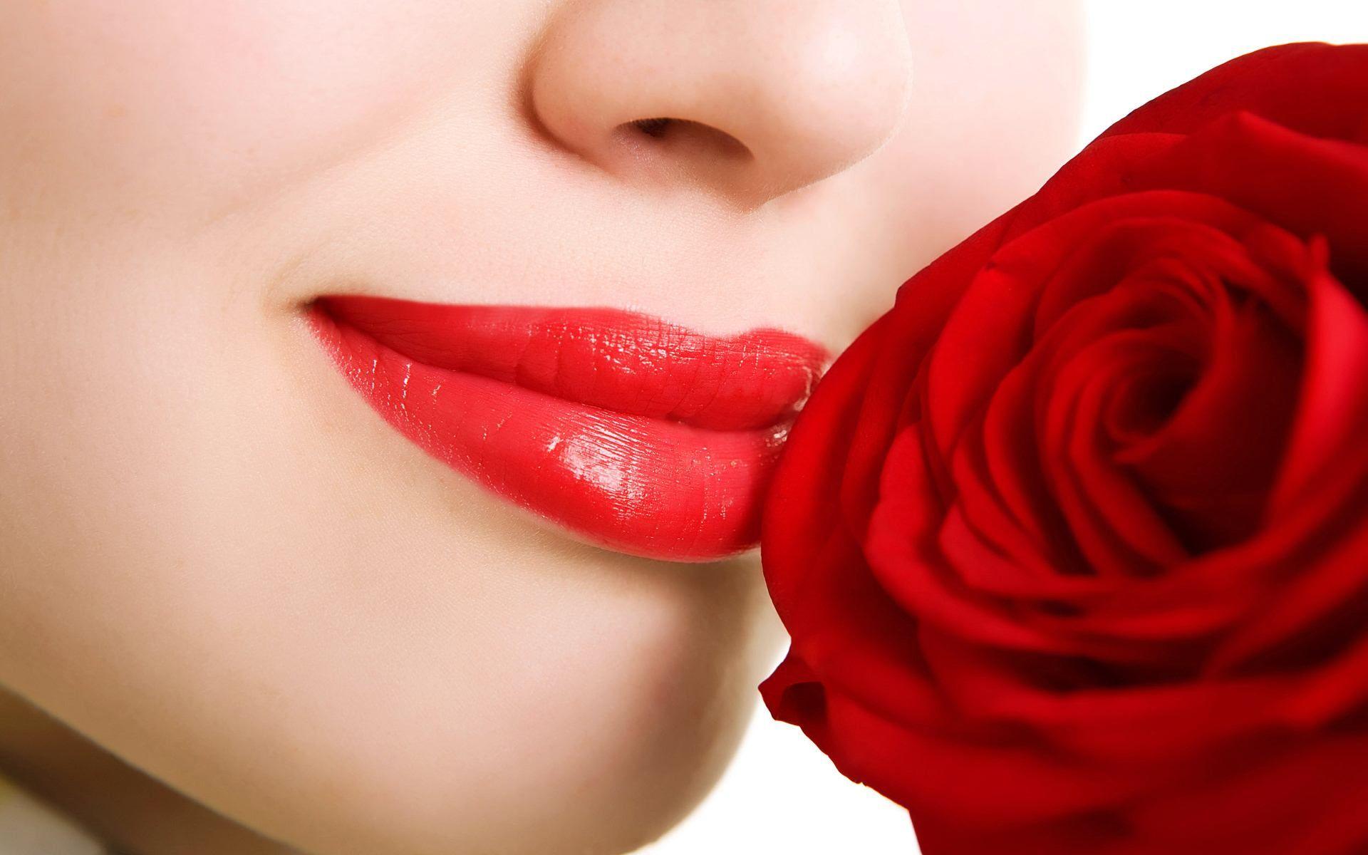 1920x1200 Red Flower Wallpaper 42174 1920x1200px