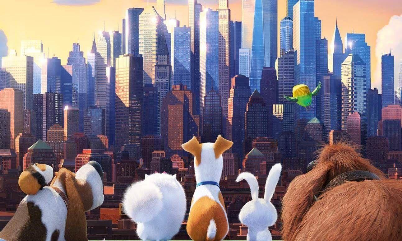 1293x775 The Secret Life of Pets Wallpaper 25 X 775