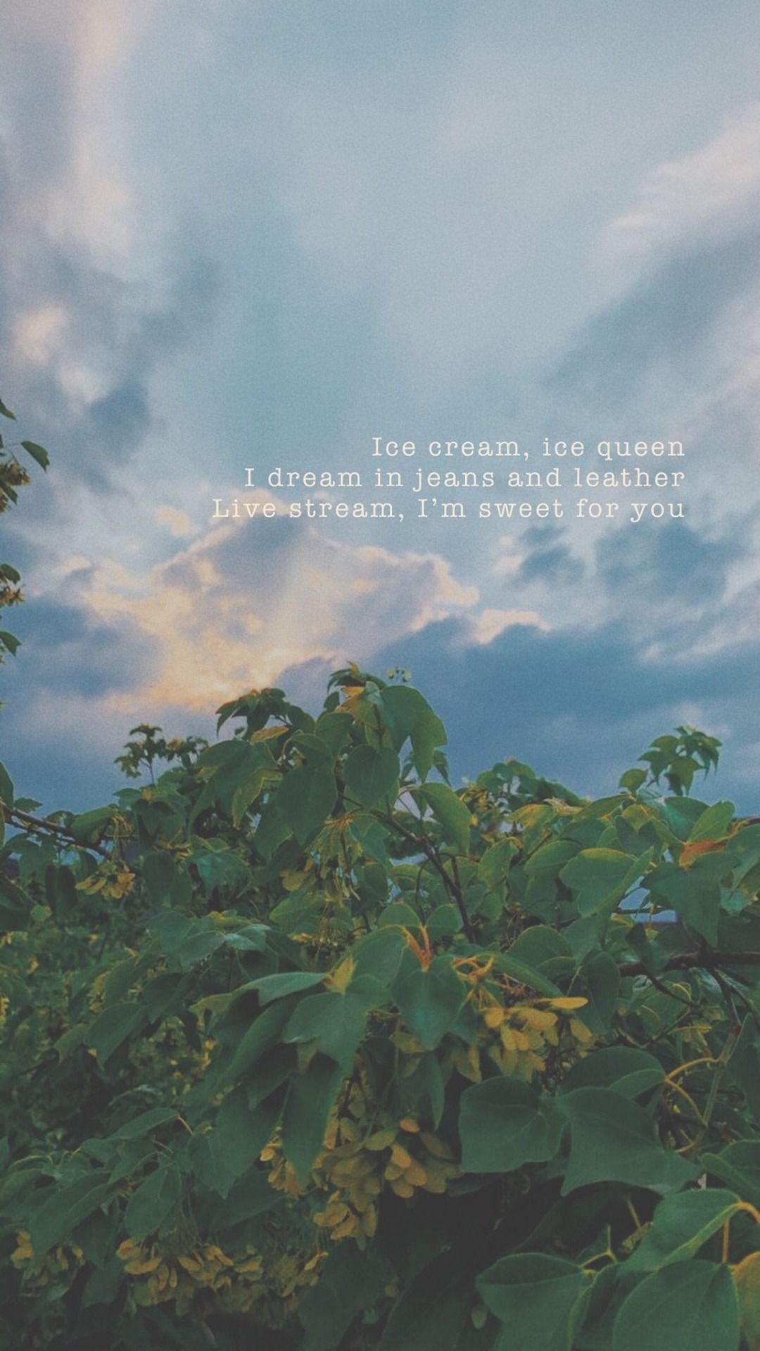 1080x1920 Lana Del Rey Lyrics Wallpaper