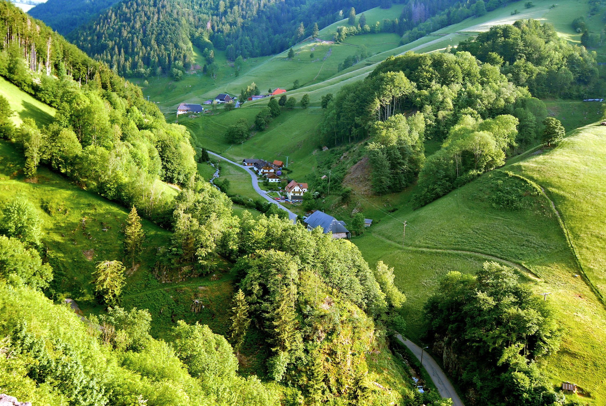 Schwarzwald Wallpapers - Top Free Schwarzwald Backgrounds - WallpaperAccess