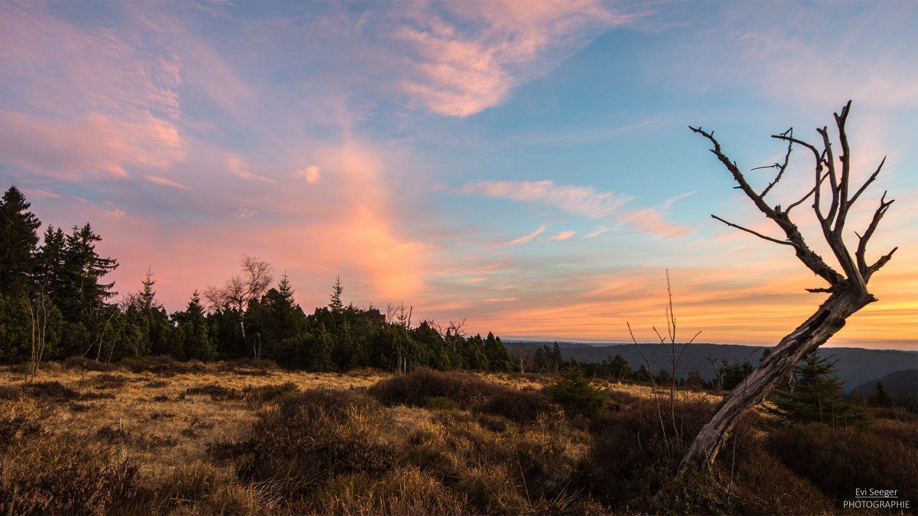 Schwarzwald Wallpapers - Top Free Schwarzwald Backgrounds - WallpaperAccess