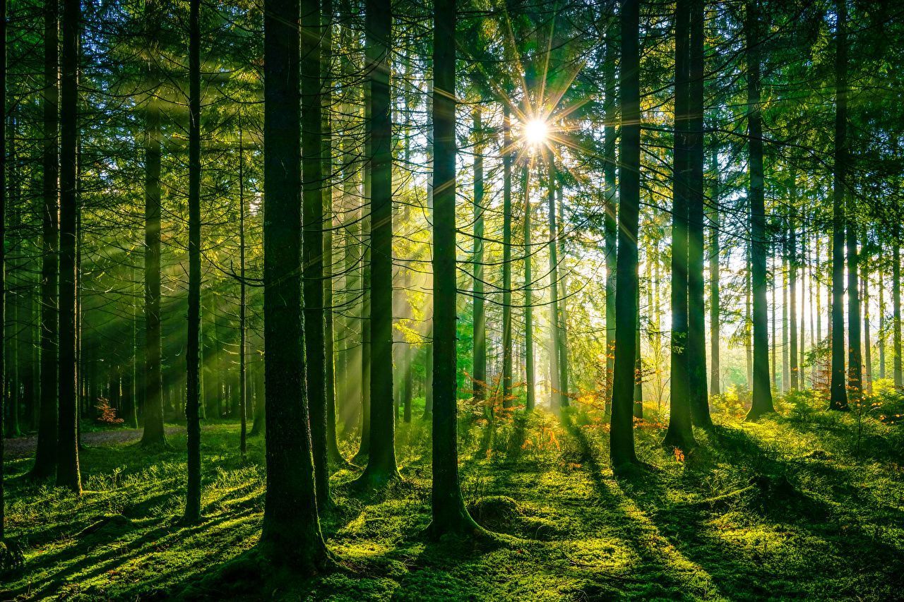 1280x853 Desktop Wallpaper Rays of light