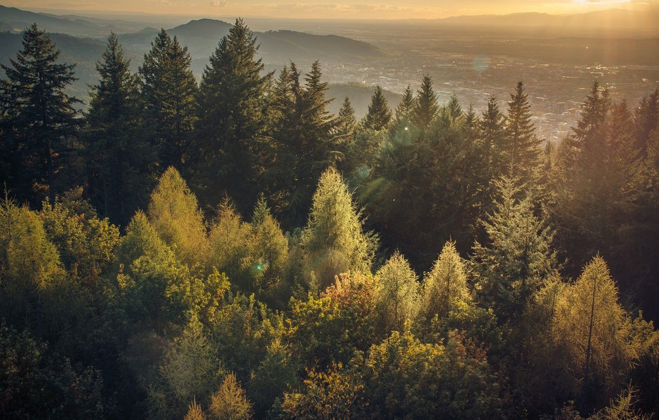 1332x850 Schwarzwald Wallpaper