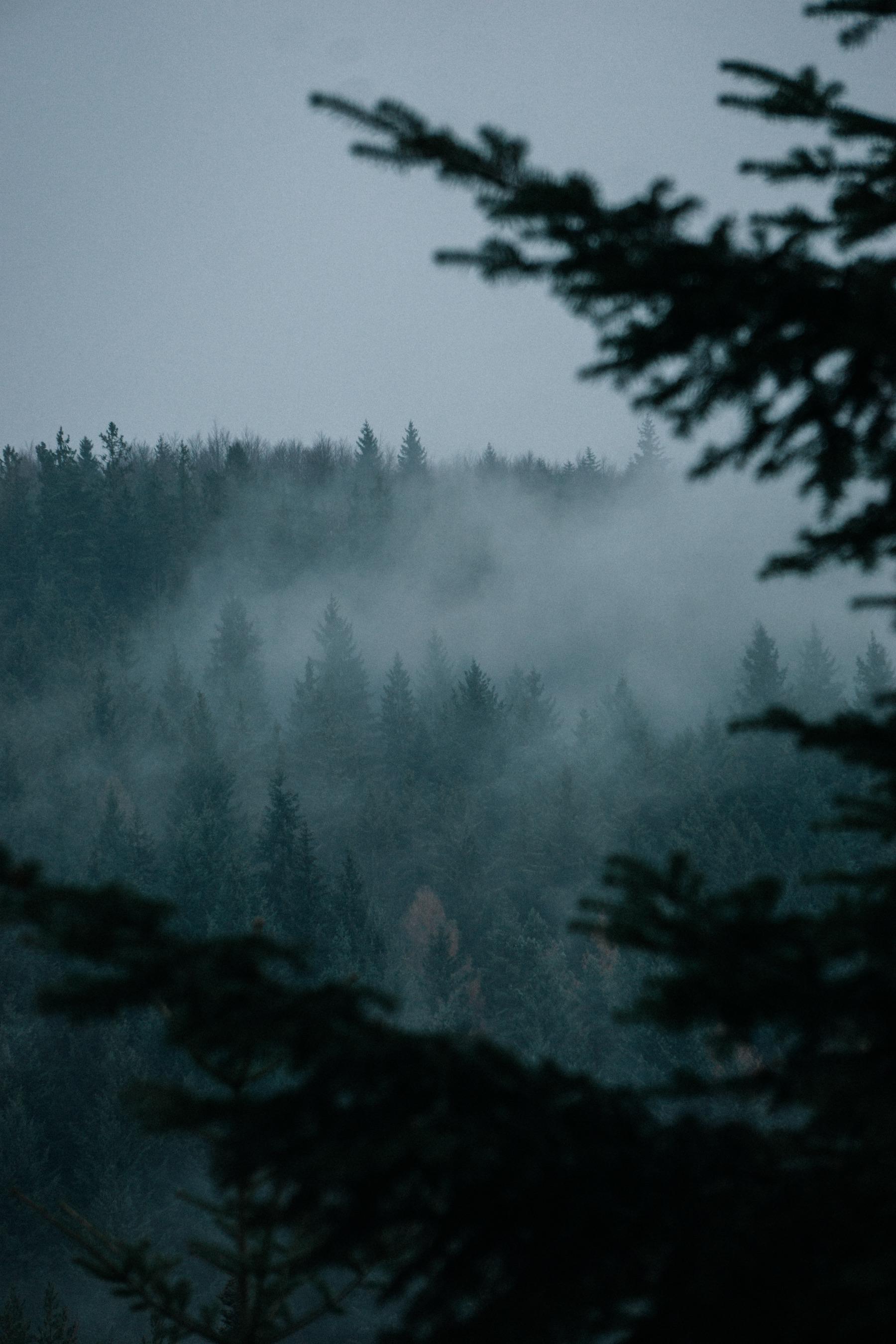 1800x2700 Germany. [1800x2700] [OC