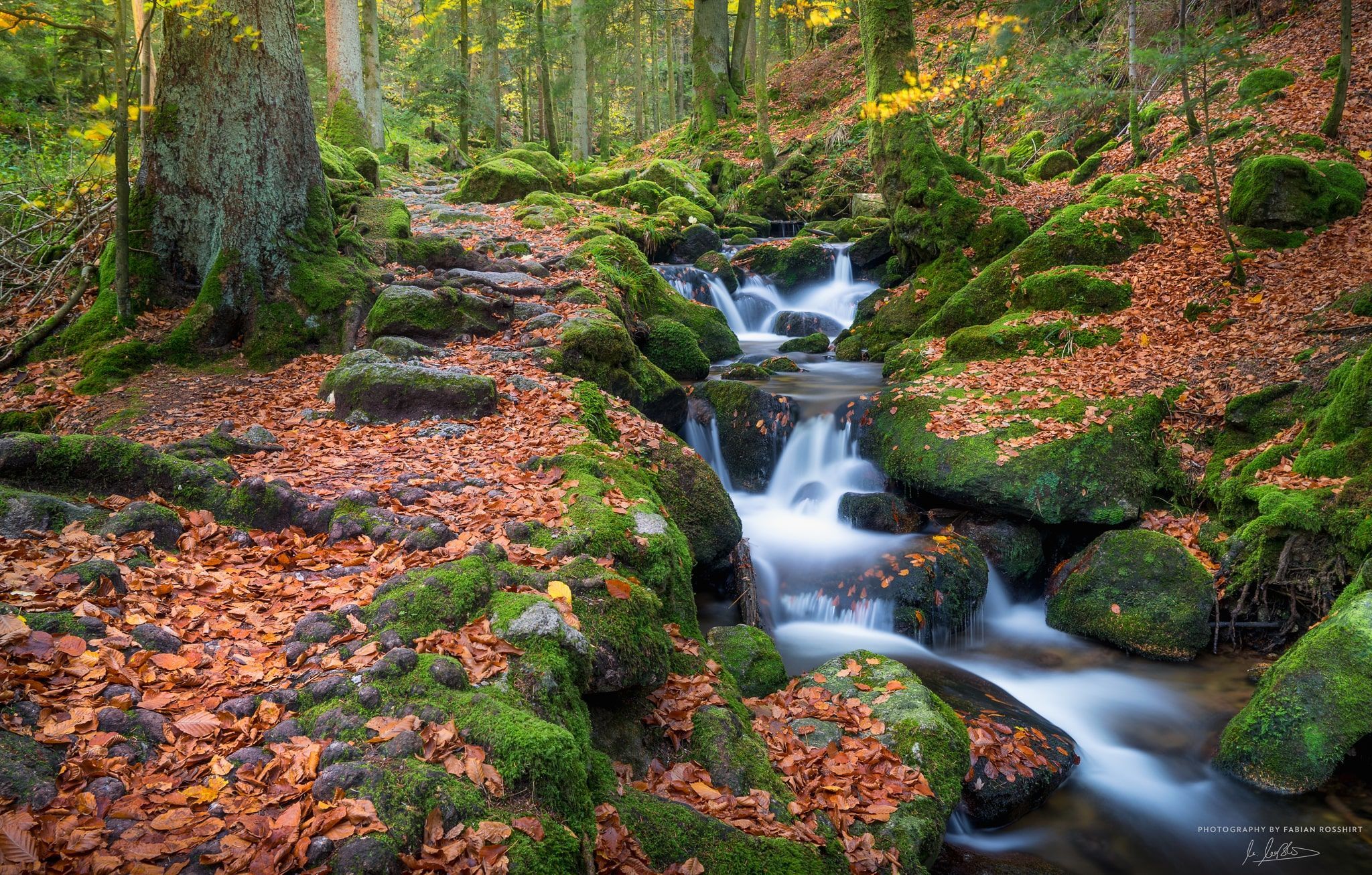 Schwarzwald Wallpapers - Top Free Schwarzwald Backgrounds - WallpaperAccess