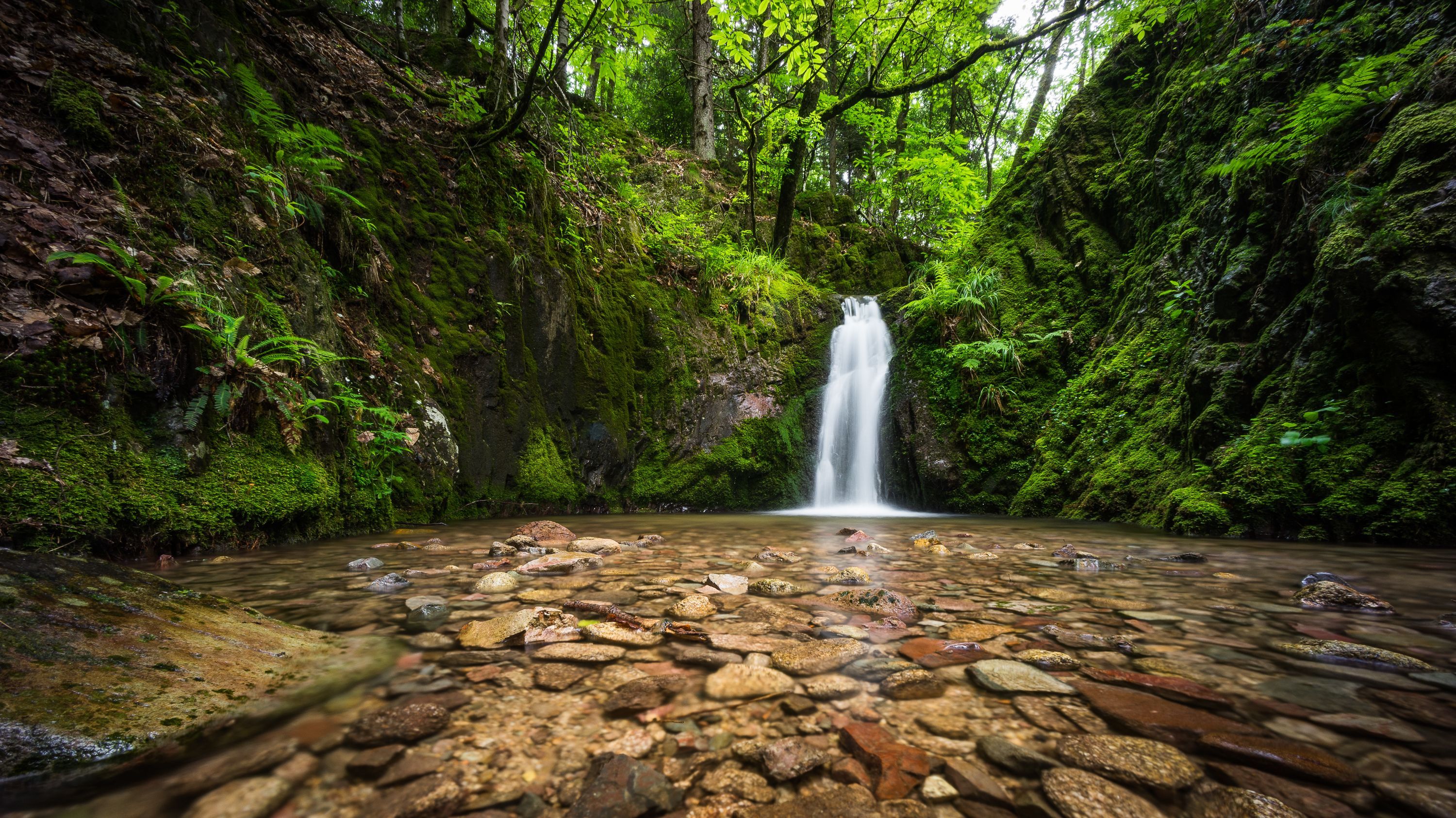3000x1687 Wallpaper forest, river, stones
