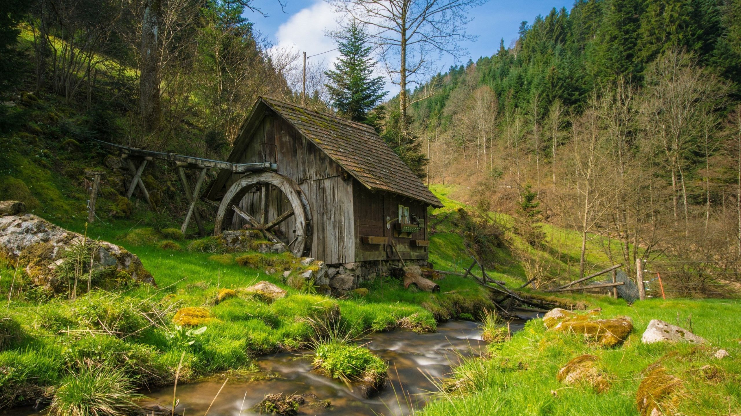 2560x1440 Windmill from Black Forest 2560x1440
