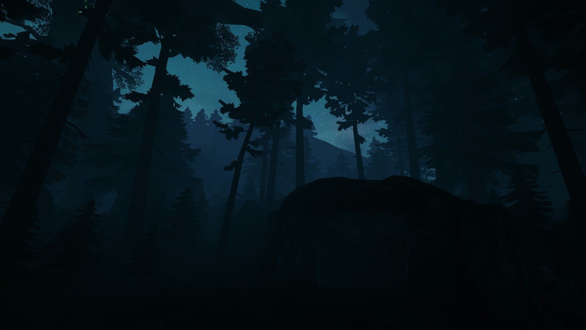 1920x1080 r8 my black forest picture that i took