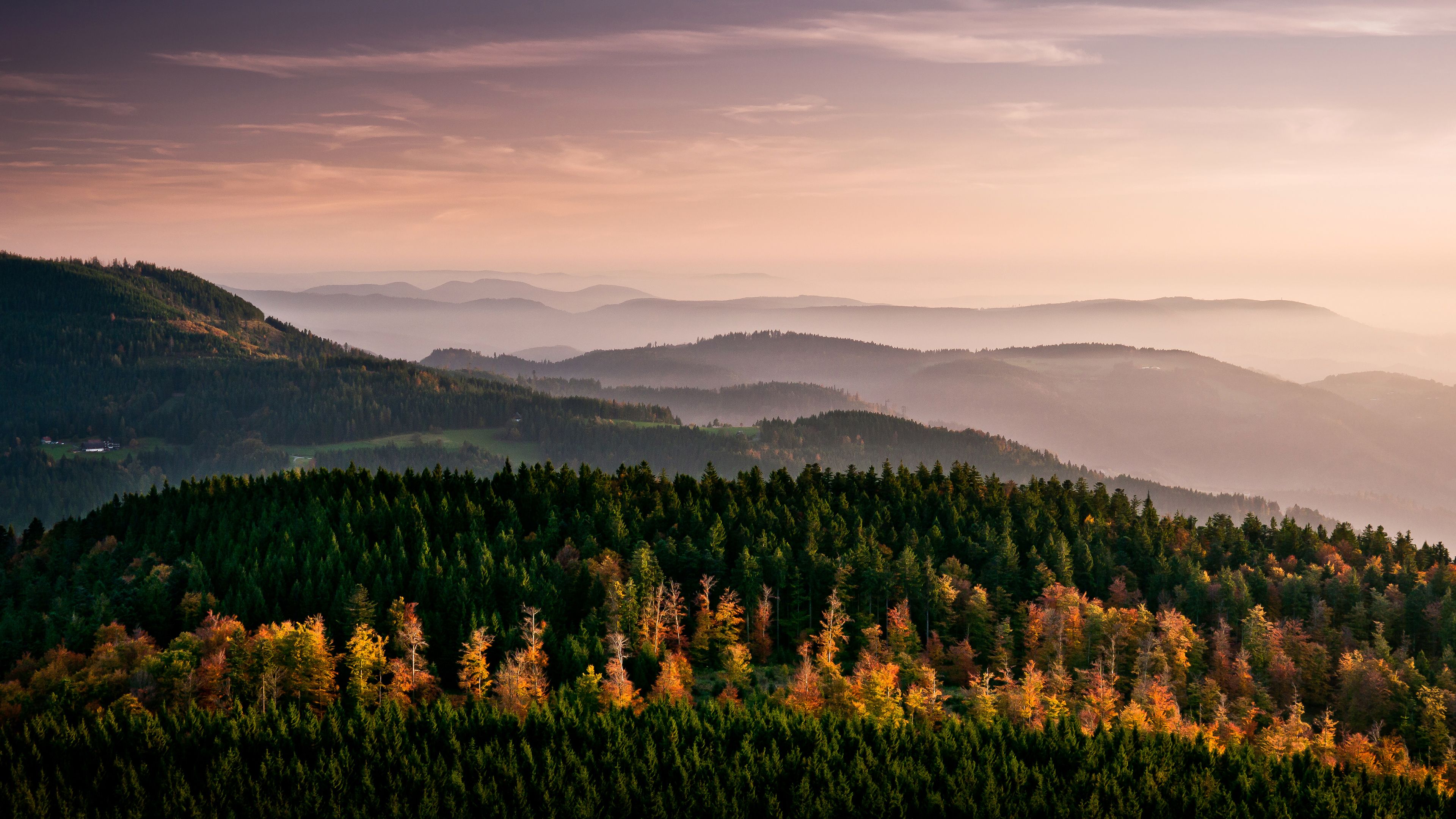 Schwarzwald Wallpapers - Top Free Schwarzwald Backgrounds - WallpaperAccess