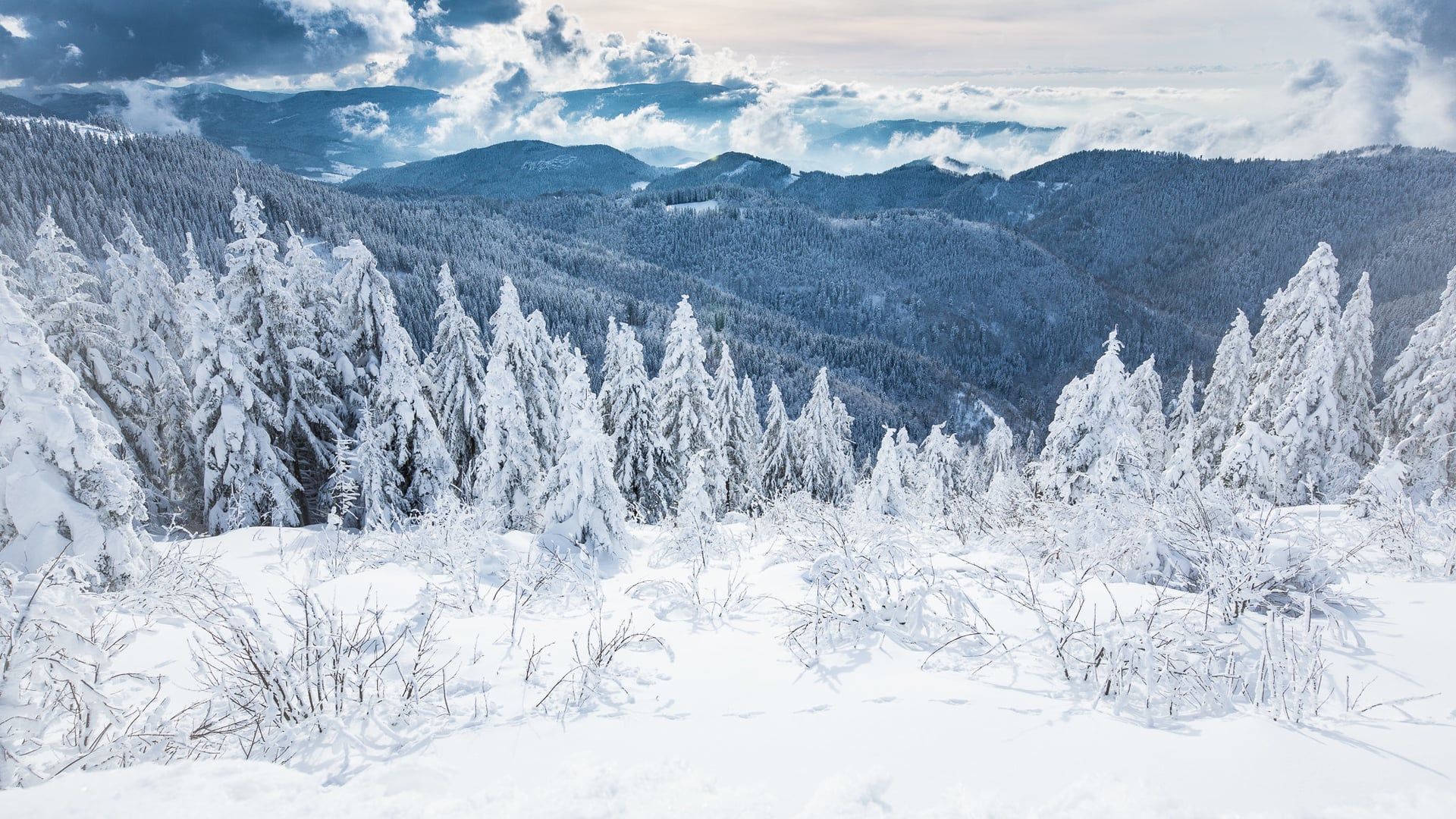 1920x1080 Nationalpark Schwarzwald. Winter on Vimeo