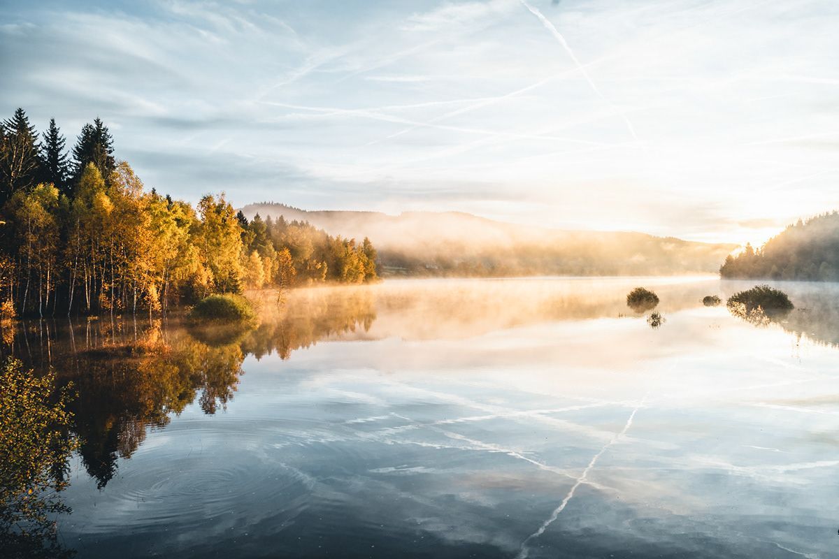 1200x800 Black Forest - Behance