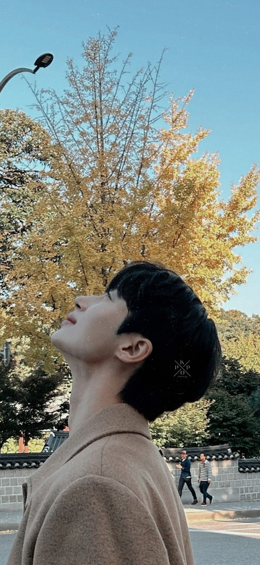 886x1920 kpop locks