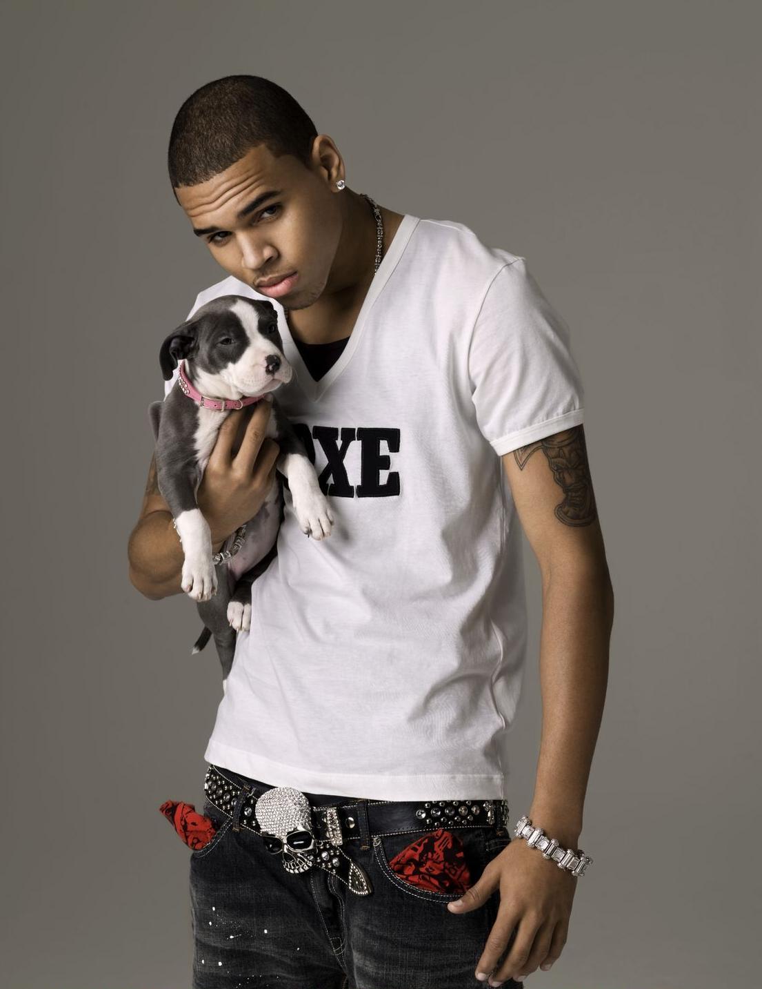1105x1433 Chris Brown Brown Photo