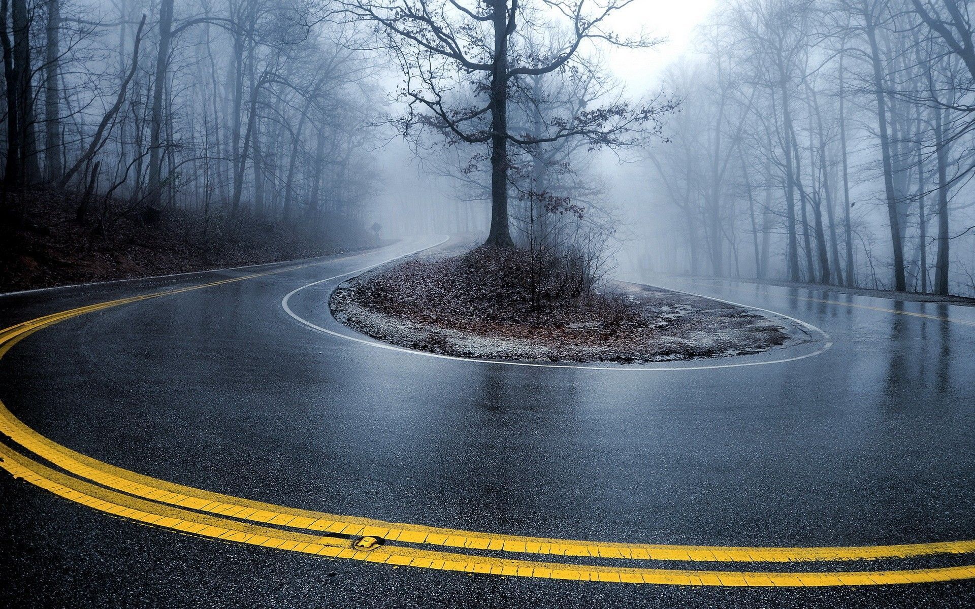 1920x1200 Road Side Wallpaper