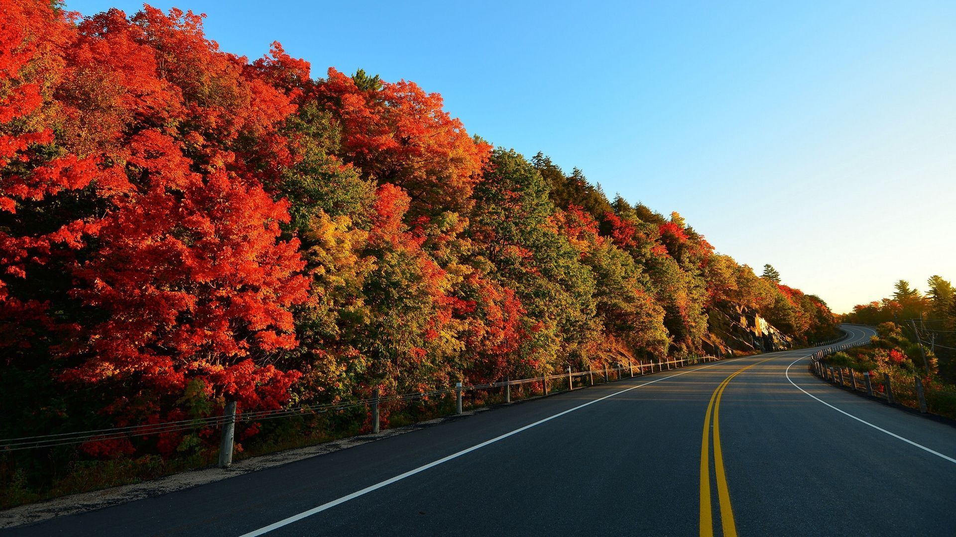 1920x1080 Road Side Wallpaper