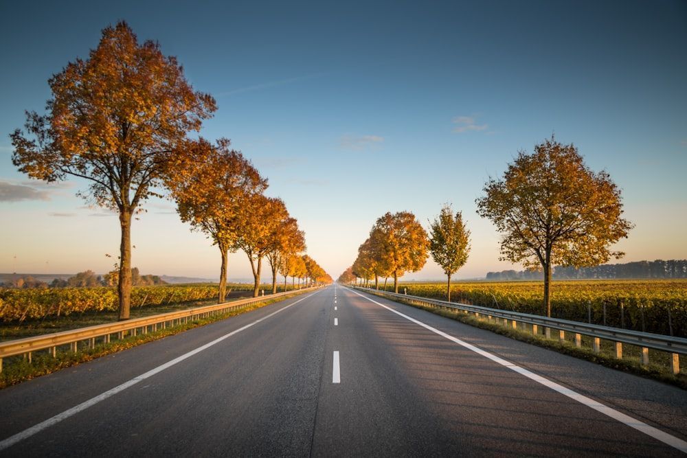 1000x667 Road Background [HQ]. Download