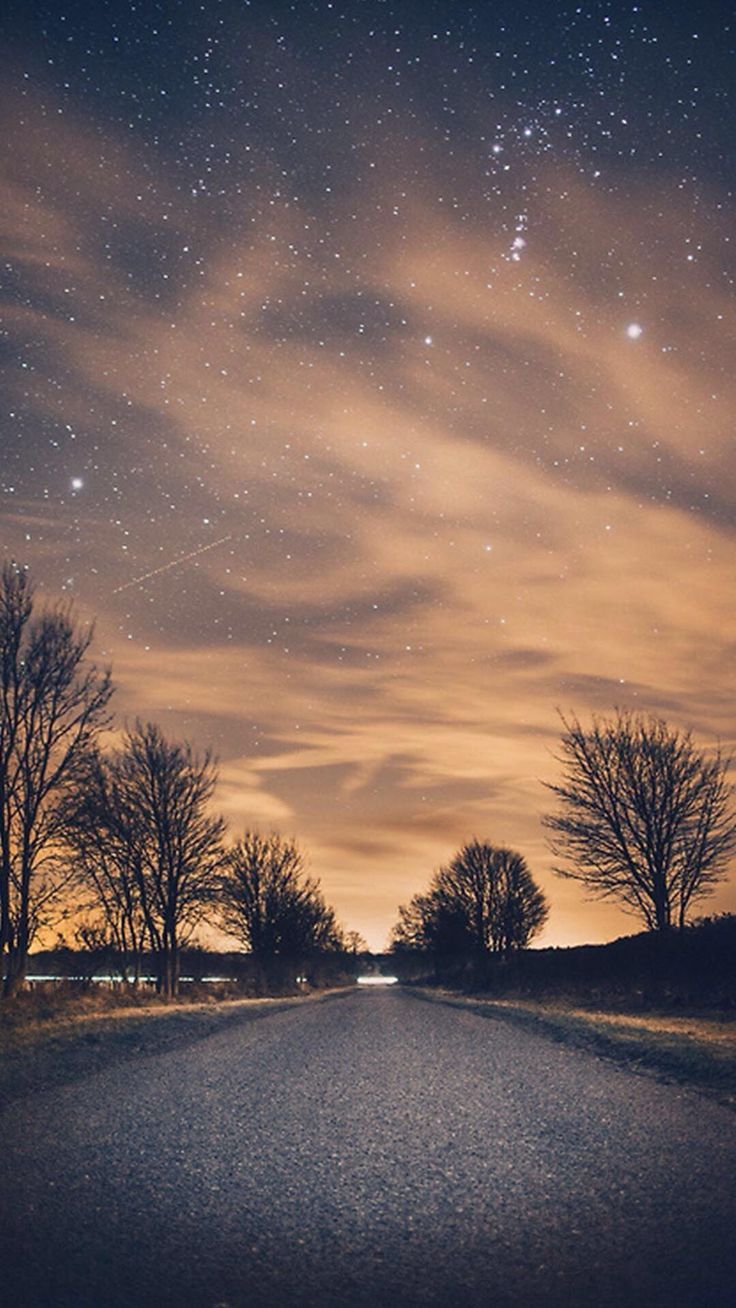 736x1308 wallpaper, HD nature wallpaper, Nature