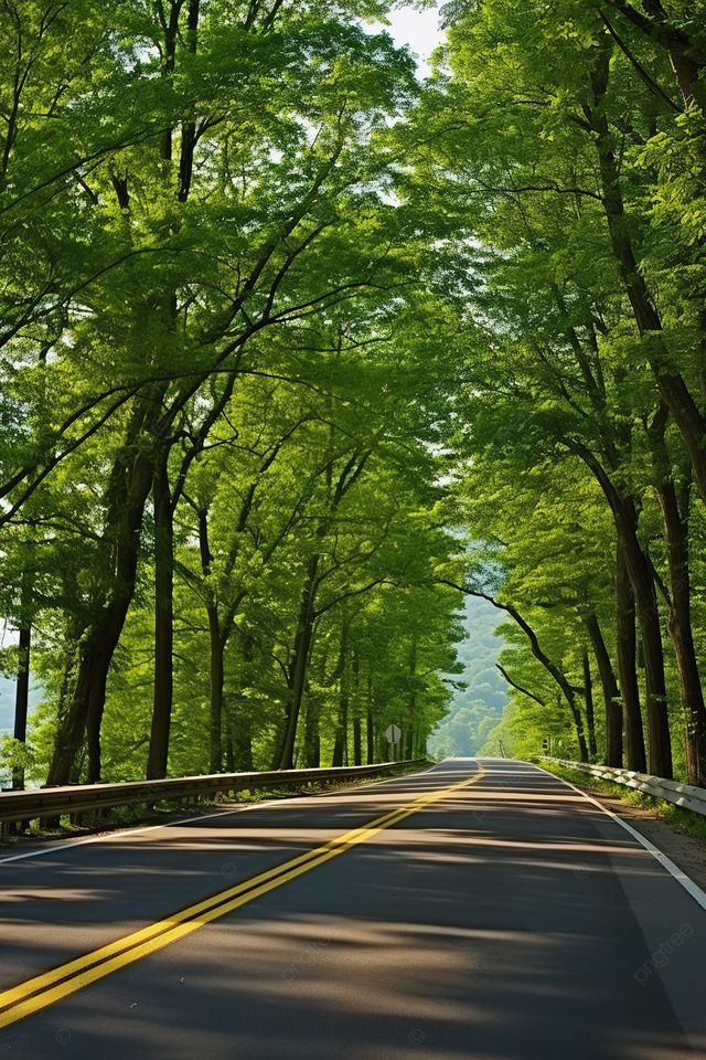 640x960 A Highway Lined With Trees Along