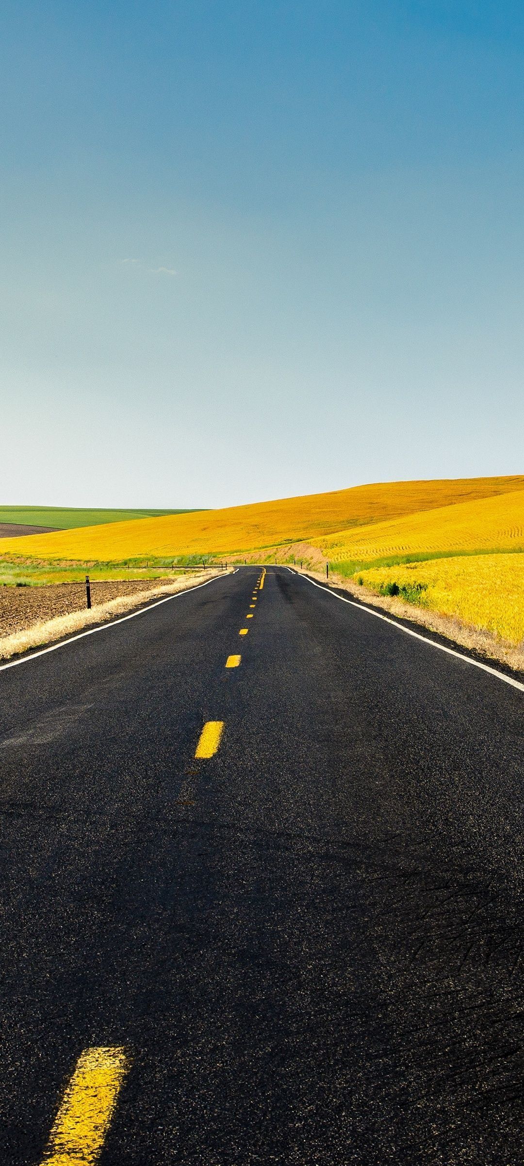 1080x2400 Meadow Wallpaper 4K, Countryside, USA