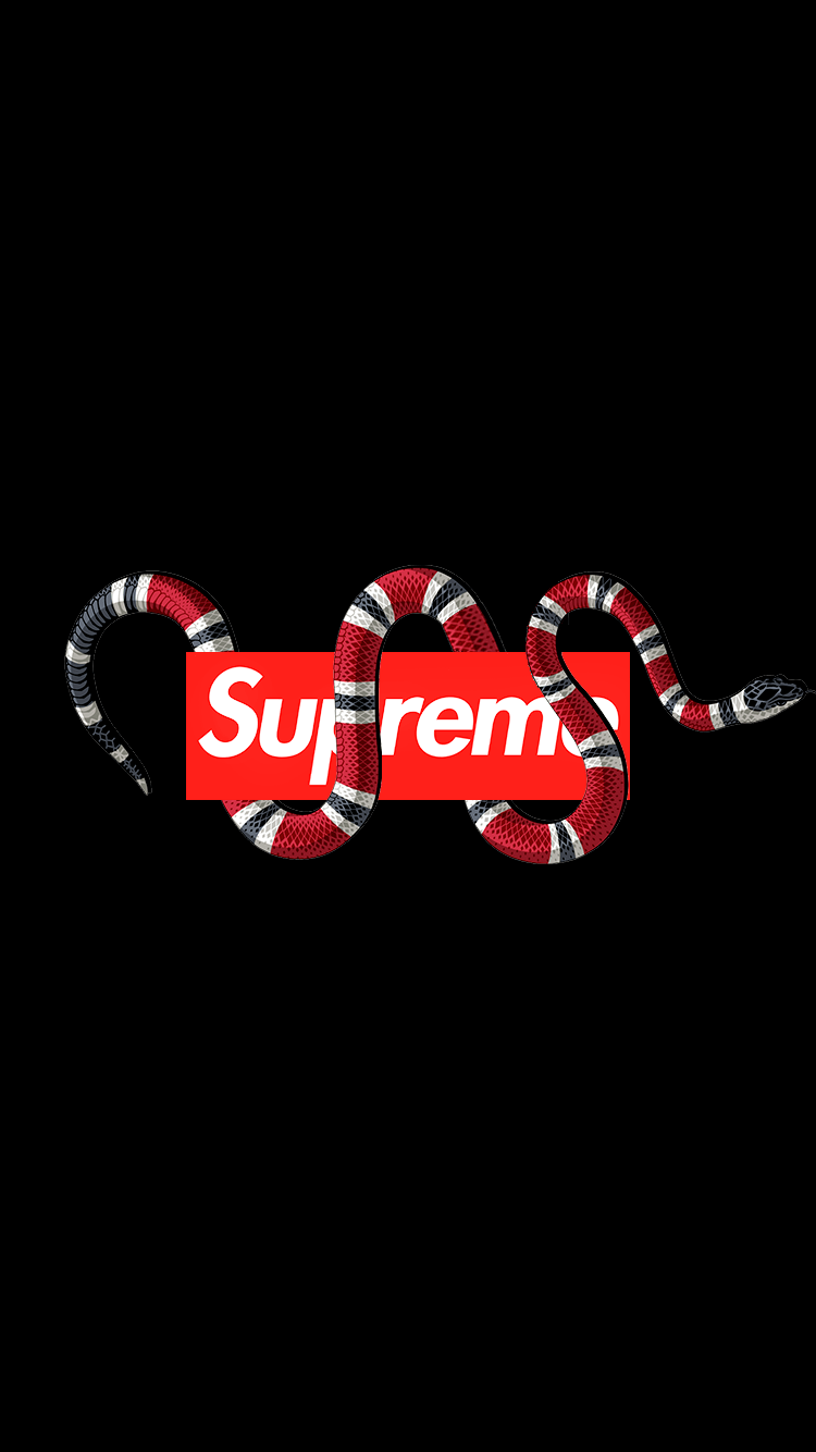 Supreme Gucci Snake Wallpapers - Top