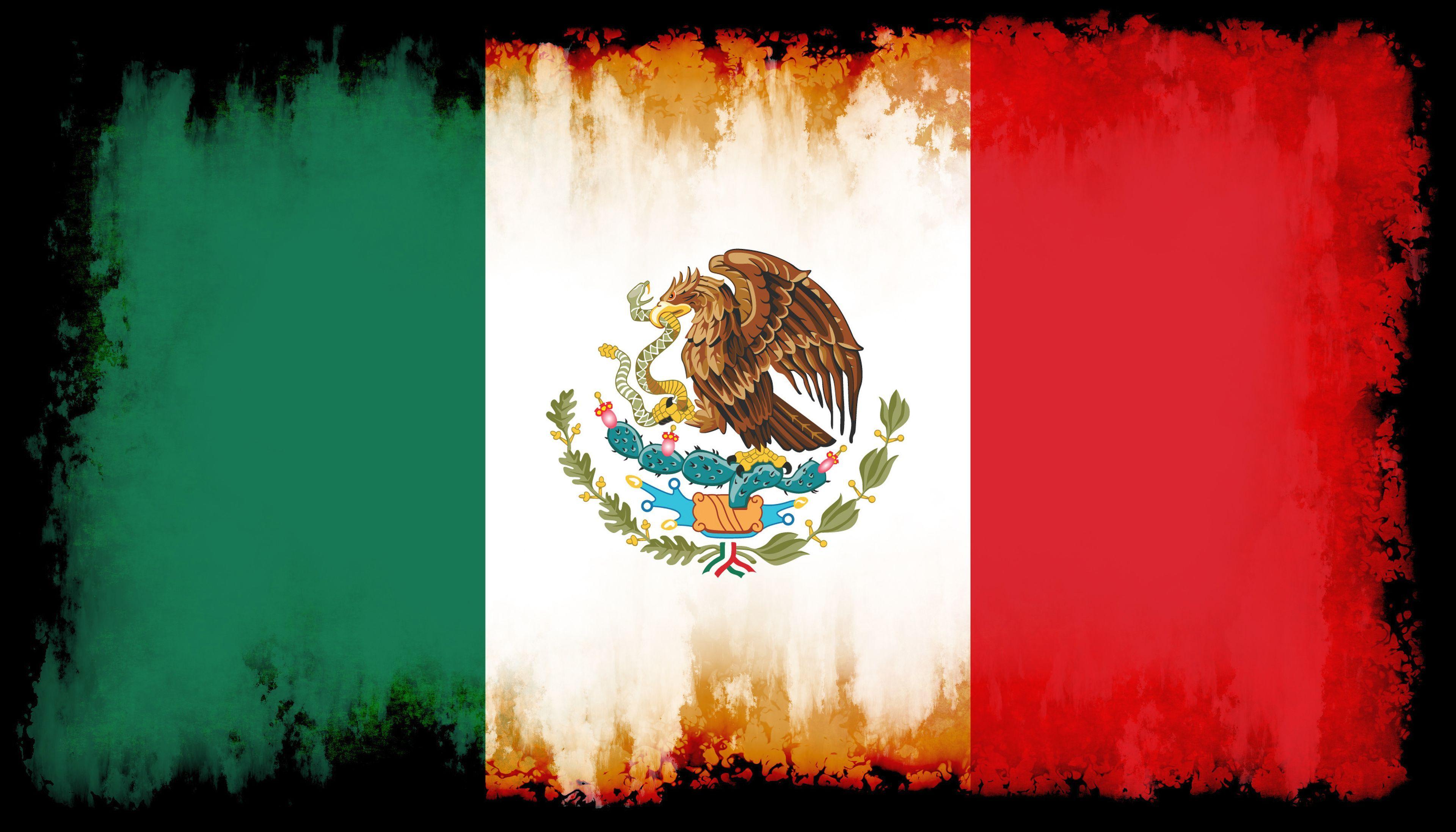 Best Mexican Flag Pictures HD  Download Free Images on Unsplash