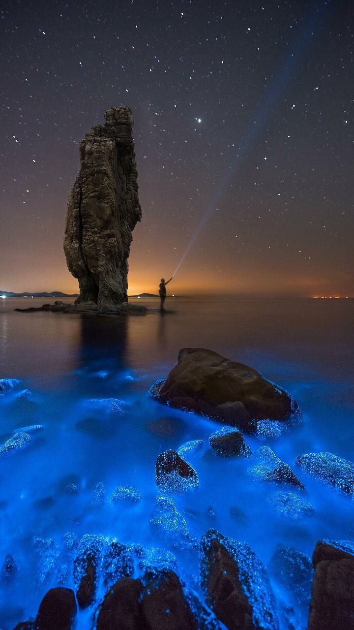 720x1280 Nature Amoled Wallpaper