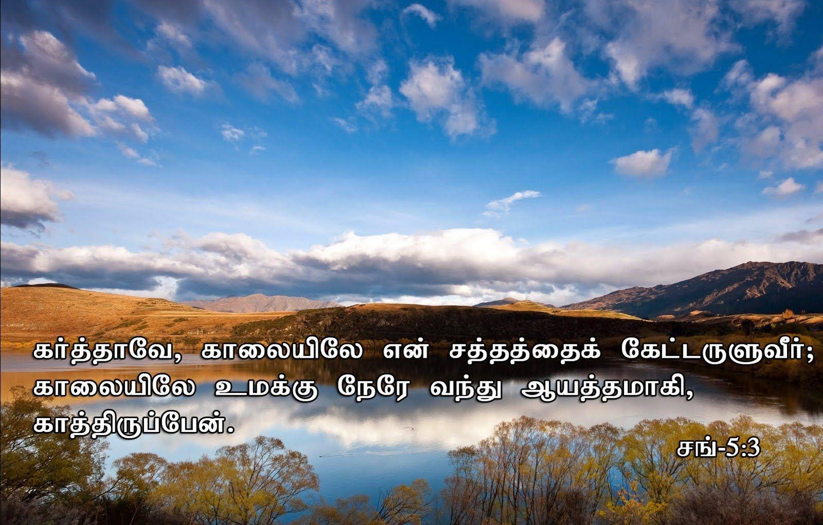 1600x1021 Download HD Christmas & New Year 2018 Bible Verse Greetings