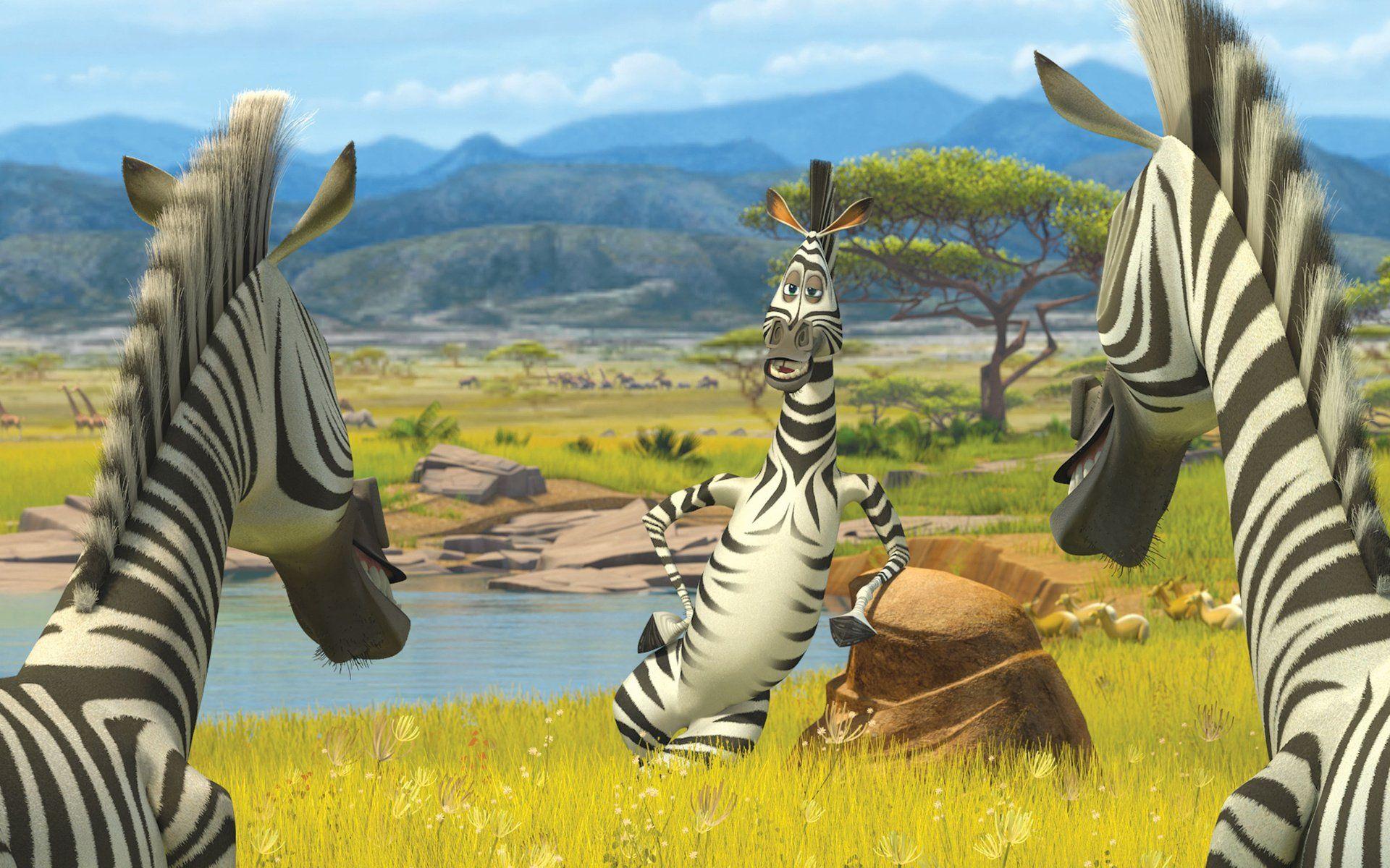 1920x1200 Madagascar Marty The Zebra